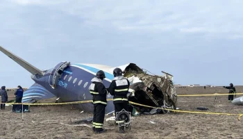 Упавший вблизи Актау самолет AZAL был поврежден элементами боевой части Упавший вблизи Актау самолет AZAL был поврежден элементами боевой части