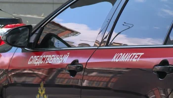 Мигранты, чьи дети надругались над девочкой под Калугой, будут депортированы из РФ