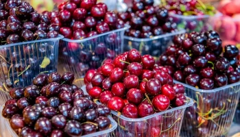 Летний сезон начался на межрегиональных ярмарках в Москве