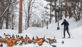 Стало известно, как отдыхали москвичи зимой