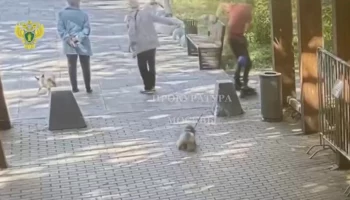 Сбивший пенсионерку роллер предстанет перед судом в Москве