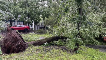 Несколько смерчей зафиксировали в Москве и Подмосковье
