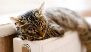 Температуру в системе отопления Москвы скорректировали из-за грядущих морозов