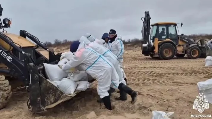 Новые выбросы мазута зафиксировали на побережье Черного моря