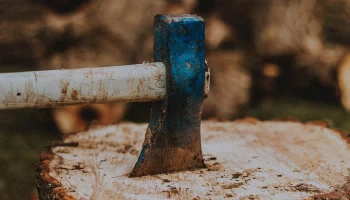 Ozon отказал семье из Подмосковья, которой вместо ноутбука пришел ржавый топор