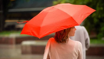 Почти месячная норма осадков выпадет на этой неделе в Москве