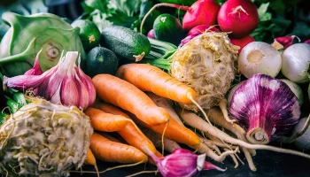 Агроном Ганичкина рассказала, как спасти урожай после майских заморозков