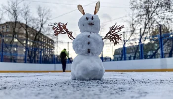 Синоптики спрогнозировали мокрый снег и гололедицу в Москве 18 января