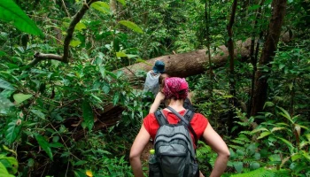 Туристка из Испании несколько дней выживала в лесах Амазонки