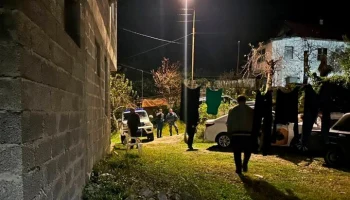 СК возбудил дело после нападения собаки на ребенка в Сочи