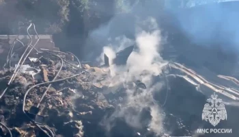 Следователи возбудили дело по статье о незаконной миграции после пожара в Истре