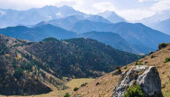 Режим ЧС введен в Ингушетии из-за аномальной жары и засухи