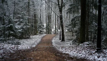 Вильфанд предупредил москвичей о снеге с морозами до минус 10 градусов в марте