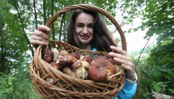 Пик грибов: когда в октябре появится шанс выйти из леса с полной корзиной