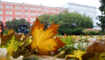 Скачок в 10 градусов: синоптик Шувалов исключил вероятность заморозков в Москве