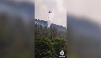 Лесной пожар в Гоначхирском ущелье локализован