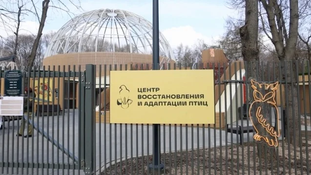 Московский зоопарк помогает представителям фауны, попавшим в беду в черте города