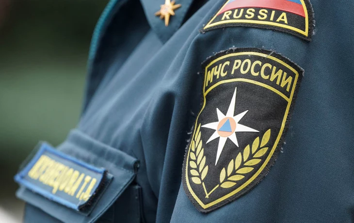 МЧС: Пожар во Фрязине полностью потушили