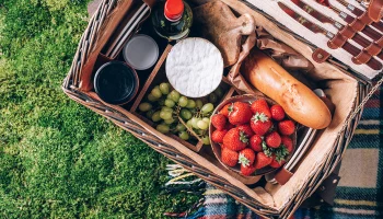Сервис для бронирования пикниковых зон запустят в московских парках