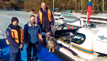 Московские спасатели рассказали о помощи домашним животным