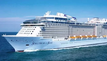 Более 500 россиян застряли на сломанном круизном лайнере в Японии