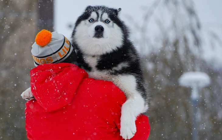 Синоптик Леус предупредил о кратковременном снегопаде в столице 6 февраля Синоптик Леус предупредил о кратковременном снегопаде в столице 6 февраля