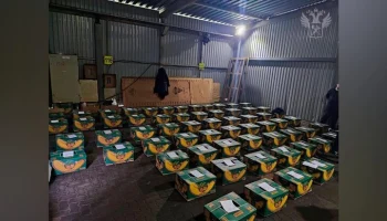 Пресечена контрабанда кокаина в Россию стоимостью более 20 млрд рублей