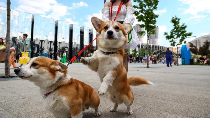 Синоптик Ильин предупредил о похолодании и дождях в Москве на предстоящей неделе Синоптик Ильин предупредил о похолодании и дождях в Москве на предстоящей неделе
