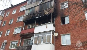 Кошка спасла хозяина от гибели при пожаре в квартире в Подмосковье