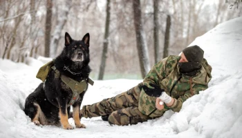 Добровольцы из ЗАО сшили и отправили в зону СВО подсумки для служебных собак