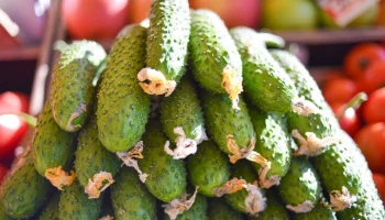 Самые дешевые огурцы можно было найти в Адыгее в январе Самые дешевые огурцы можно было найти в Адыгее в январе