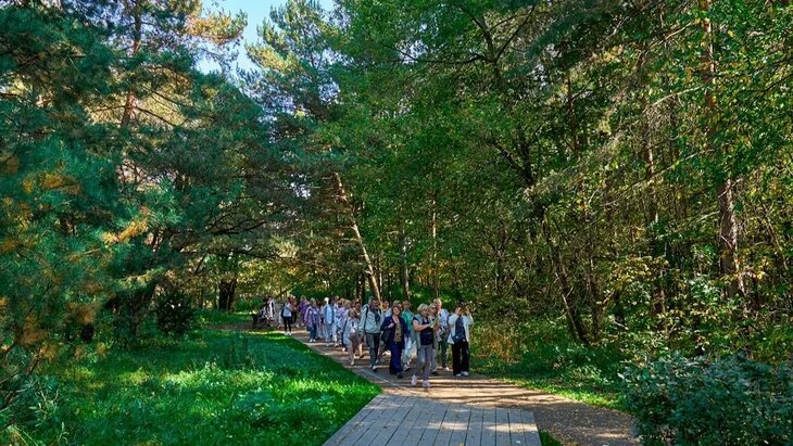В проекте "Московское долголетие" начались занятия по лесотерапии В проекте "Московское долголетие" начались занятия по лесотерапии