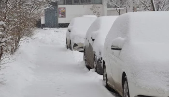 У трех неплательщиков штрафов в Москве арестовали автомобили