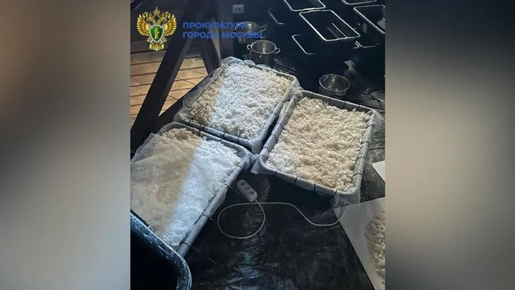 Более 70 кг наркотиков изъяты у мужчины на загородном участке в Домодедове Более 70 кг наркотиков изъяты у мужчины на загородном участке в Домодедове