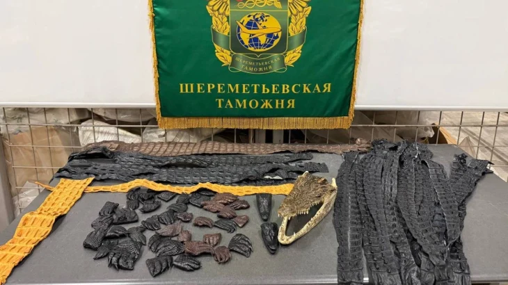 Таможенники в Шереметьеве обнаружили 64 части крокодила в багаже пассажира из КНР Таможенники в Шереметьеве обнаружили 64 части крокодила в багаже пассажира из КНР