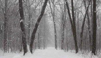 Индивидуальный забег и семейный квест: программа Дня ориентирования в «Кузьминках-Люблино» Индивидуальный забег и семейный квест: программа Дня ориентирования в «Кузьминках-Люблино»