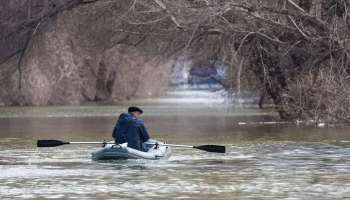 Мэр Орска опроверг сообщения о разрушении дамбы из-за грызунов