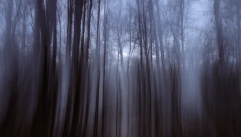 Спасатели обследовали еще одну пещеру под Красноярском в поисках Усольцевых