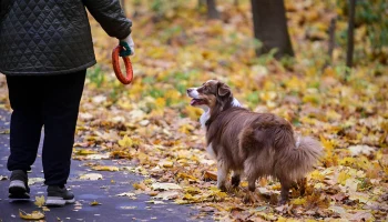 Сыровато, но не холодно: москвичам пообещали комфортные выходные