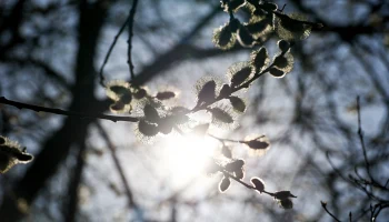 Постепенное повышение температуры: какой будет погода в Москве на Пасху