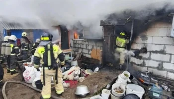 200 собак погибли при пожаре в Нижнем Новгороде