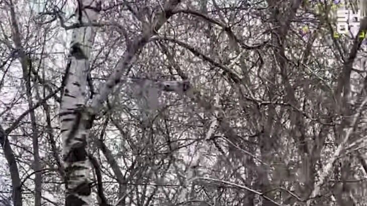 В Москве на прощании с рэпером Пашей Техником задержан оператор дрона В Москве на прощании с рэпером Пашей Техником задержан оператор дрона