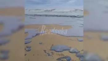 Почти 270 человек ликвидируют разлив нефтепродуктов в Краснодарском крае