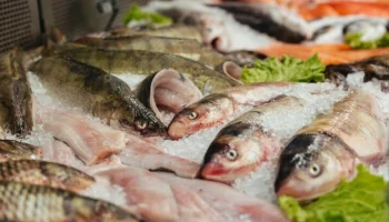 Глава Россельхознадзора Данкверт: РФ сохраняет запрет на импорт японской рыбы