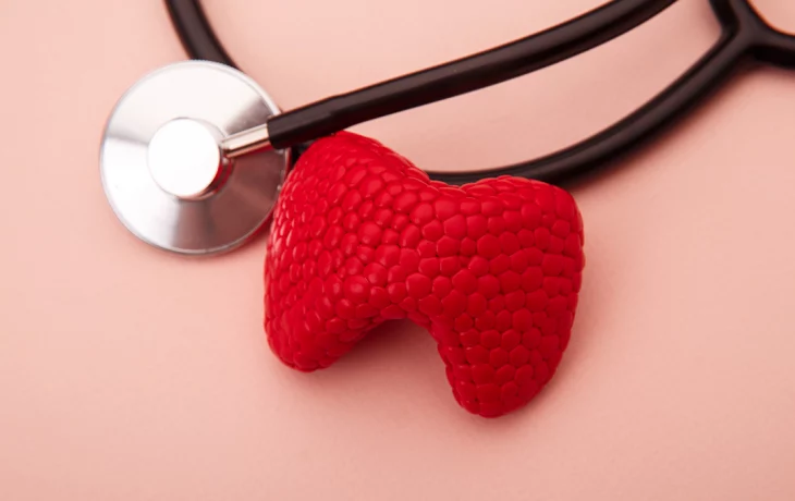 От «кома в горле» до потливости: какие симптомы выдают проблемы с щитовидной железой От «кома в горле» до потливости: какие симптомы выдают проблемы с щитовидной железой