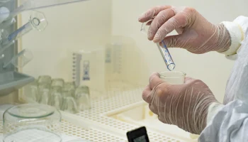 Роспотребнадзор: В Санкт-Петербурге выявили два случая заболевания оспой обезьян