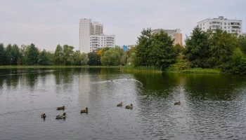 Часть парка "Ангарские пруды" благоустроят по программе КРТ в Москве