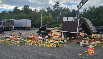 В Подмосковье человек погиб в ДТП с "Газелью" и грузовиком