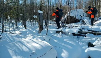 Волонтер Торгашина: тепловизор выявлял светящиеся точки в тайге, где пропали Усольцевы