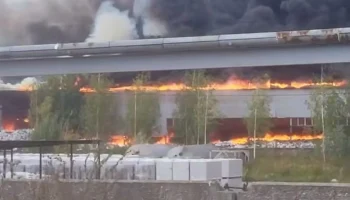 Пожар произошел на мусоросортировочной станции в подмосковном Щелкове